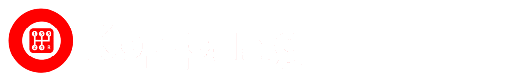 3 (2)