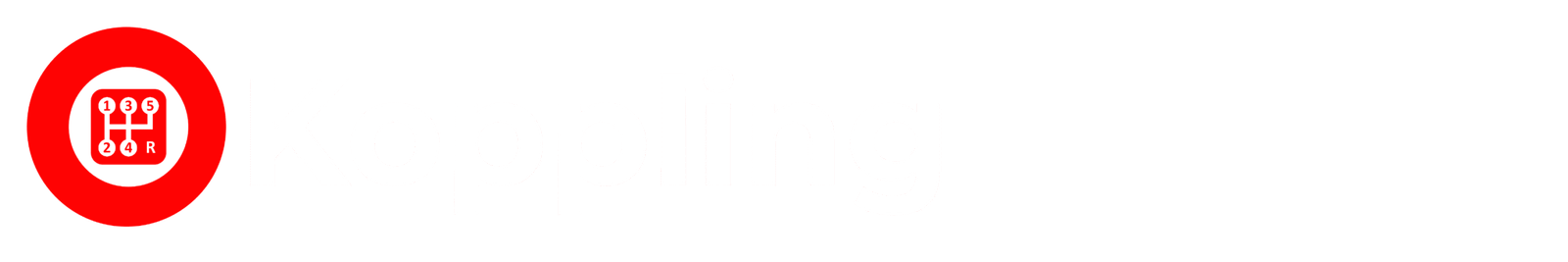 3 (2)
